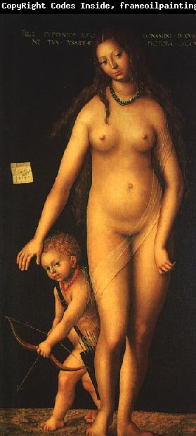 CRANACH, Lucas the Elder Venus and Cupid dfg